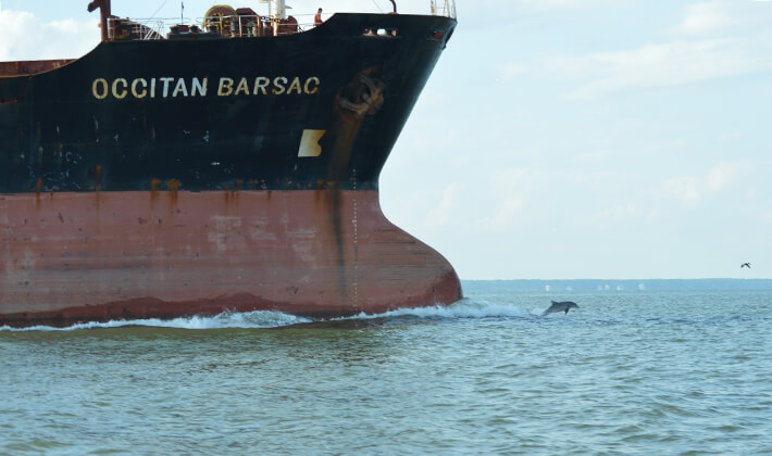 Wir geleiten Sie in den sicheren Hafen
