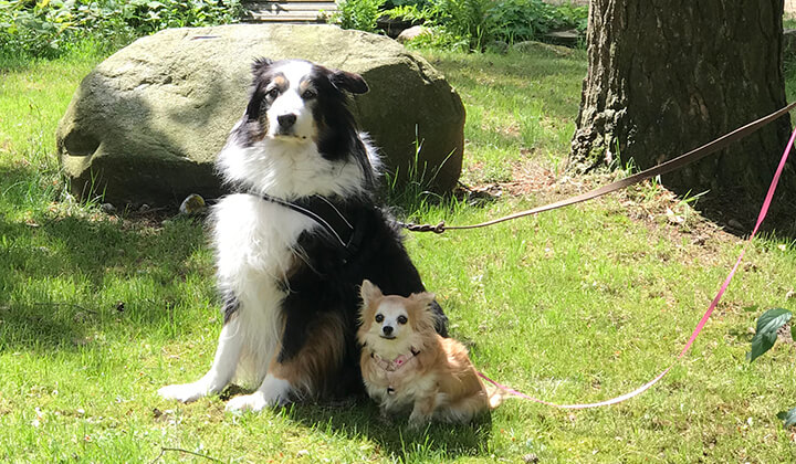 Jack & Miss Elli